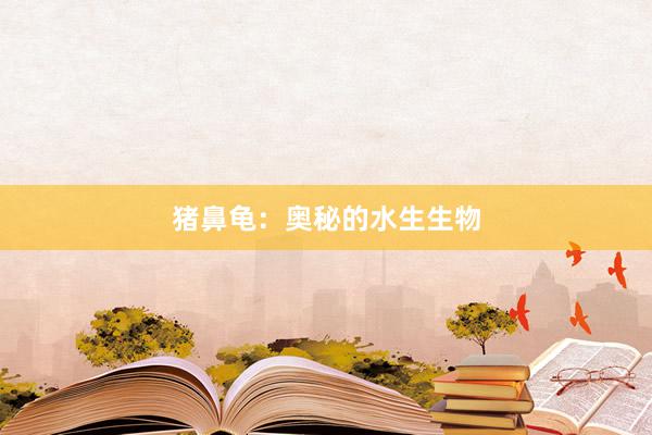 猪鼻龟：奥秘的水生生物