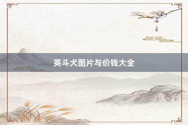 英斗犬图片与价钱大全