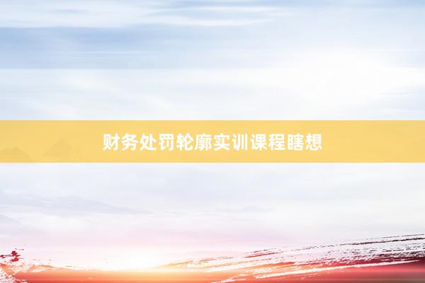 财务处罚轮廓实训课程瞎想